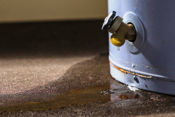 Best Water damage restoration mold remediation  in Kensington Park, FL