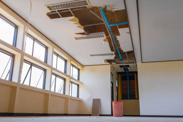 Best Carpet water damage restoration  in Kensington Park, FL