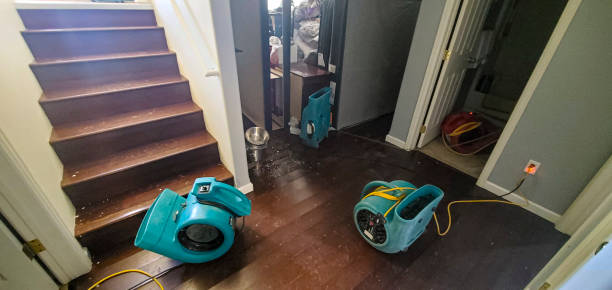 Best Professional water damage repair  in Kensington Park, FL