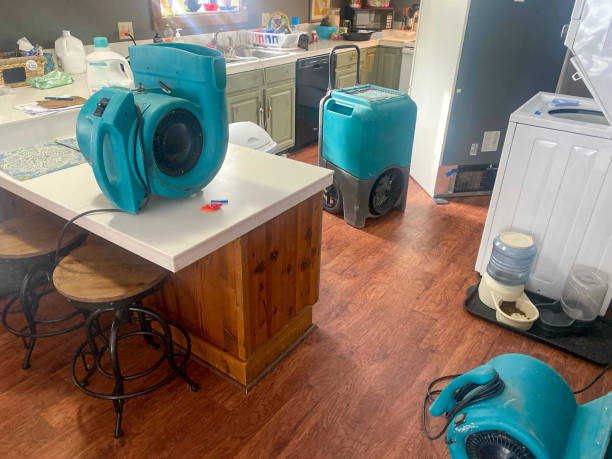 Best Local water damage restoration  in Kensington Park, FL