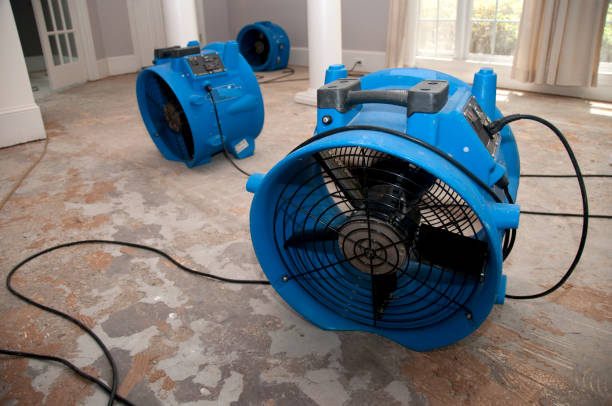 Water damage restoration mold remediation in Kensington Park, FL