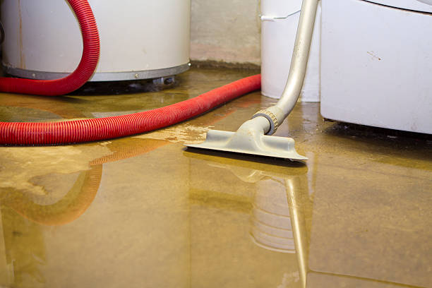 Best Water damage contractors near me  in Kensington Park, FL