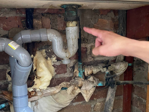 Best Local water damage restoration  in Kensington Park, FL