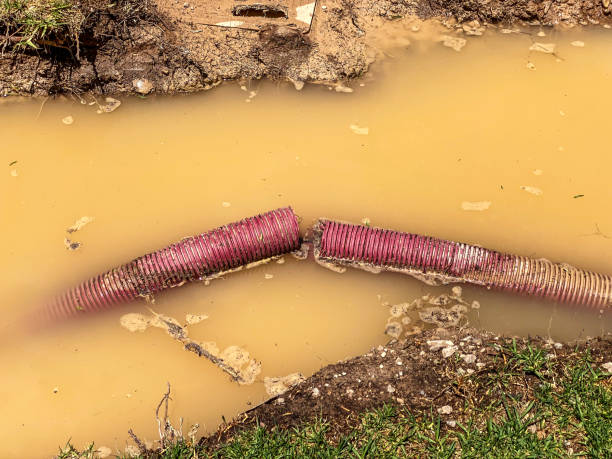 Best Water damage restoration specialists  in Kensington Park, FL